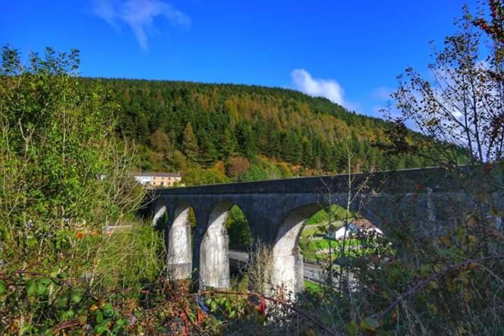Selah Cottage, 21 Queen Street Pontrhydyfen Szoba fotó