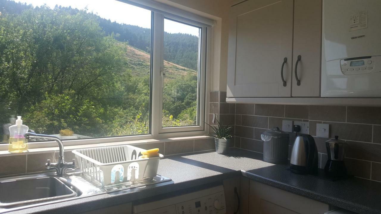 Selah Cottage, 21 Queen Street Pontrhydyfen Kültér fotó