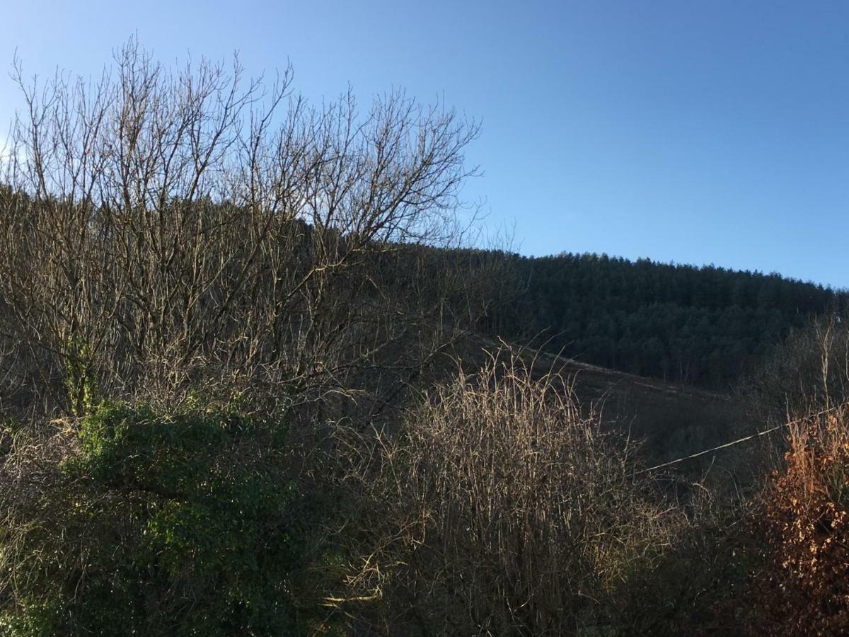 Selah Cottage, 21 Queen Street Pontrhydyfen Kültér fotó
