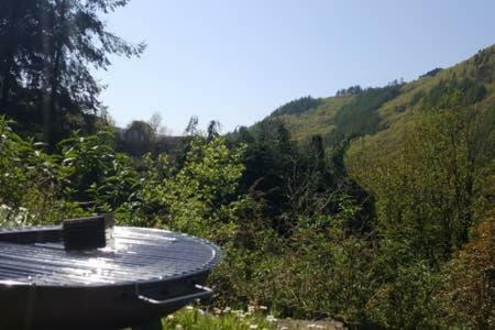 Selah Cottage, 21 Queen Street Pontrhydyfen Kültér fotó